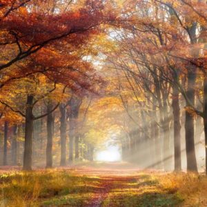 Coaching Planner: Seasonal Goal-Setting Workbook